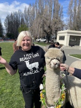 Alpaca Appreciation Day Parade with More FM